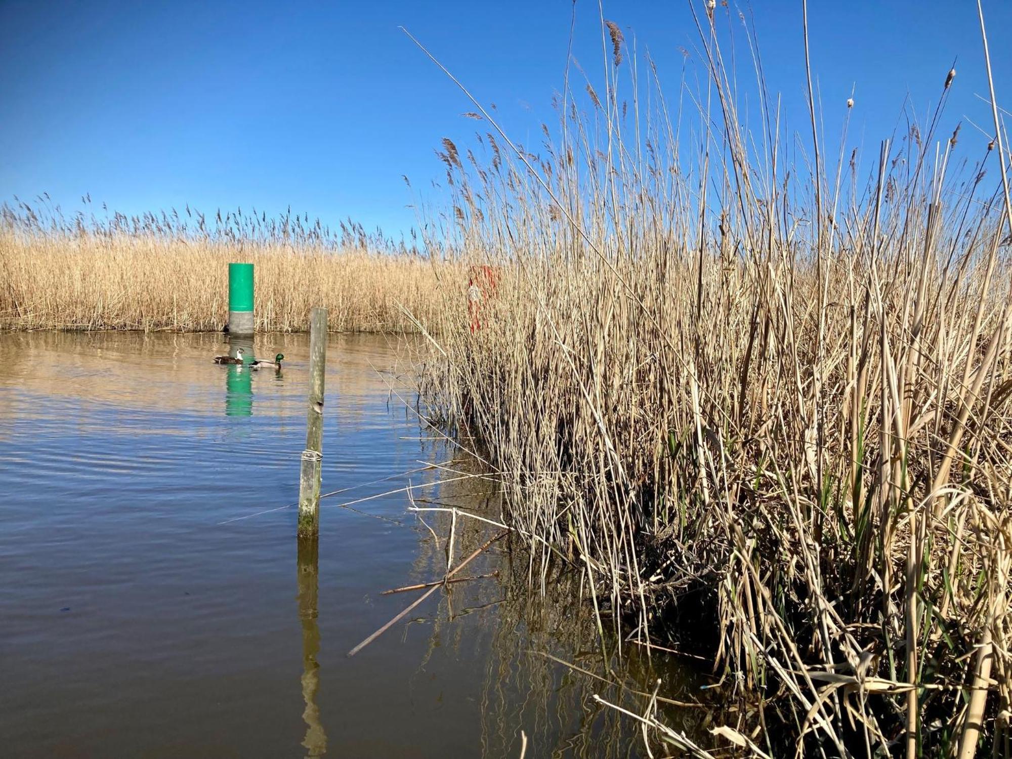 House Marijke With Winter Garden And Direct Access To The Lauwersmeer Anjum Exterior photo