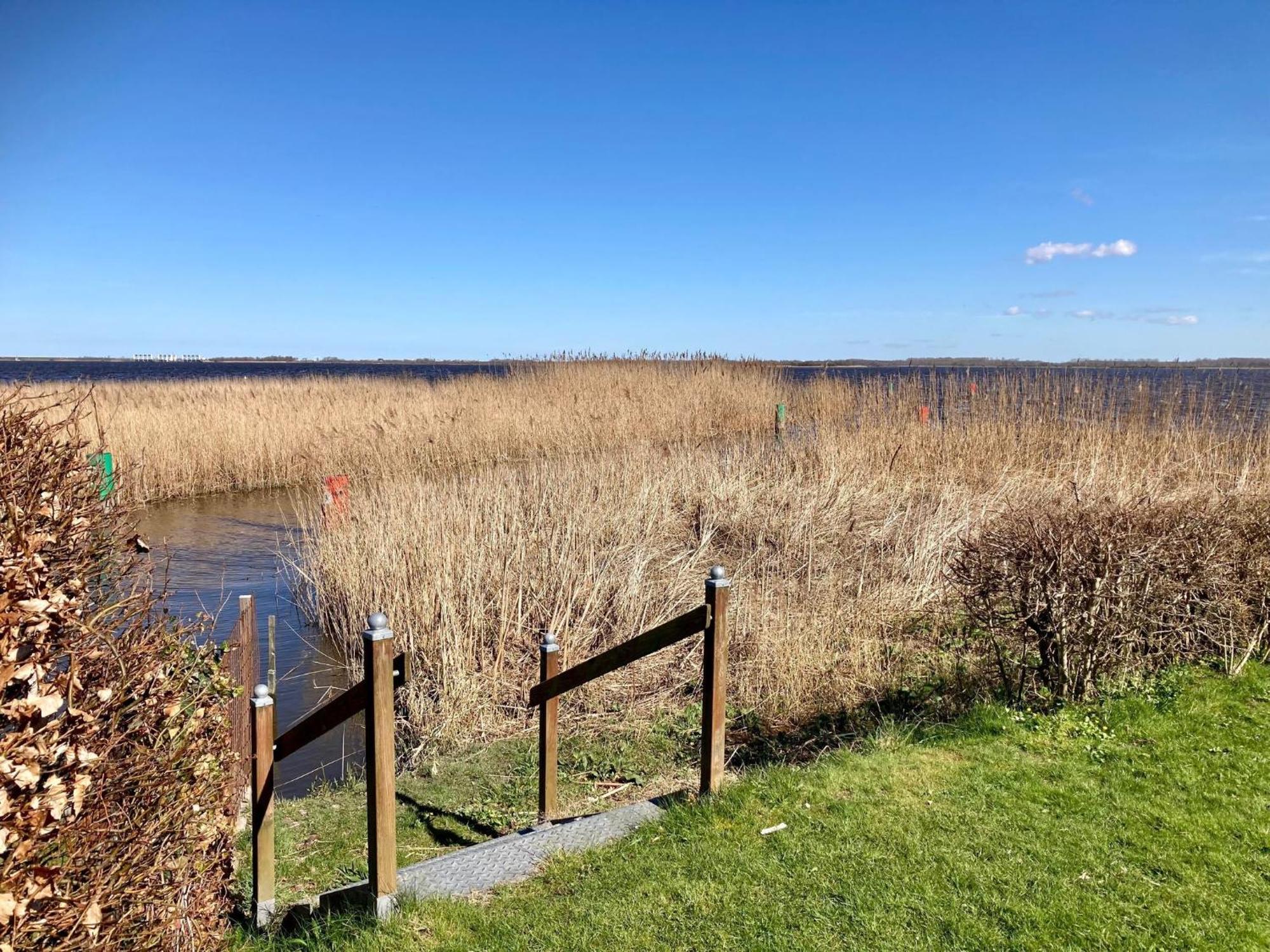 House Marijke With Winter Garden And Direct Access To The Lauwersmeer Anjum Exterior photo